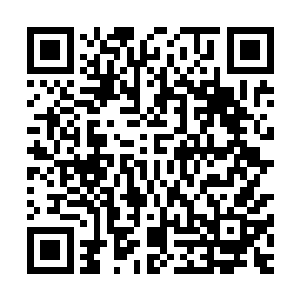 因为他们从那个摘粉果的猎手那里听到粉果树可有不小的一片二维码生成