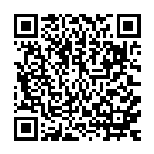 因为他们会定期给一些朝中大员和地方官提供海中的奇珍异宝二维码生成