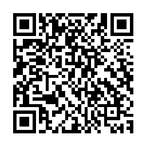 因为他们害怕到时候秦国师和三位守护者之间的战斗波及到他们二维码生成