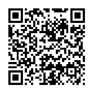 因为他们已经断定刚才枪哥一定是在水下和某个怪物搏斗二维码生成