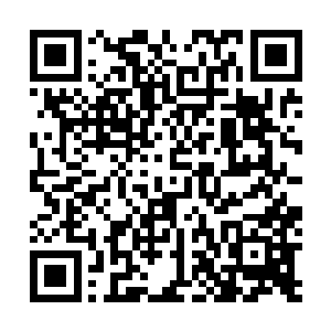 因为他们当初都是经历过玄学界和三十六洞天福地大战的二维码生成