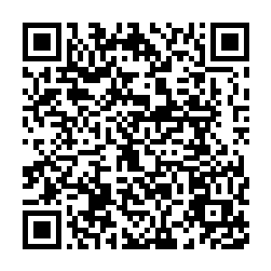 因为他们提升的途径除了简单的吸收星辰之力来提升自身实力之外二维码生成