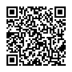 因为他们是在陨神天幕之中孕育出来的特殊存在二维码生成