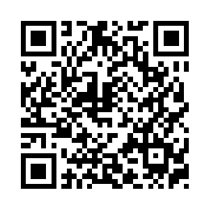 因为他们来到了一座非常巨大的大殿之中二维码生成