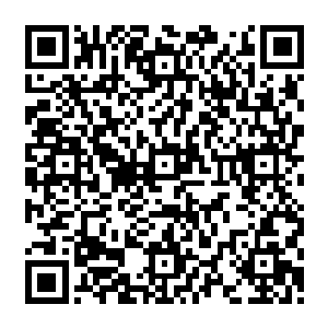 因为他们能够感受到那个兽皇峰峰巅的那个魅影身上散发出来的无声无息的对死亡的威慑力二维码生成
