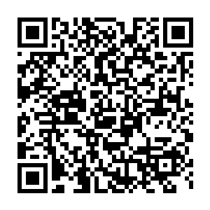 因为他们迫切的想要知道这害的他们如此惨的青色虫子是什么来历二维码生成