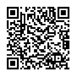 因为他压根就不知道黑色小鸟会有什么空间天赋二维码生成