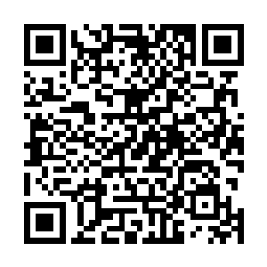 因为他并没有从夏天的身上感应到法则之力十万点的变化二维码生成