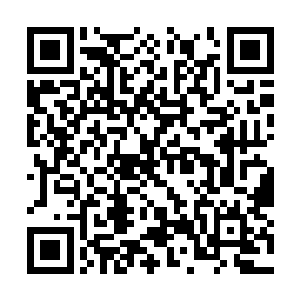 因为他生怕晚了一刻那只手又出现在了他的脖子上二维码生成