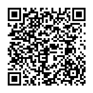 因为他看到跟在女人身边的那只大藏獒正也随着女人朝大门口走去二维码生成