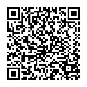 因为以他的性格只会将它深深的埋在心底假装什么事情都没有发生过二维码生成