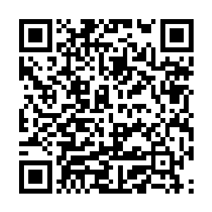 因为你根本无法料到下一个发作的究竟是什么诅咒二维码生成