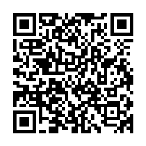 因为刚才被自己一掌打晕过去的柯家子弟依旧直挺挺倒在地上二维码生成