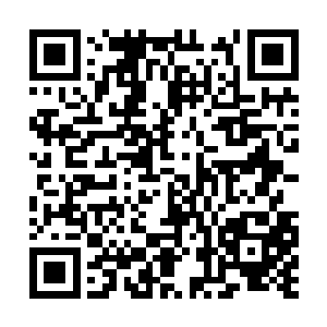 因为只有充沛的灵气才能保证宗门弟子修为的提升二维码生成