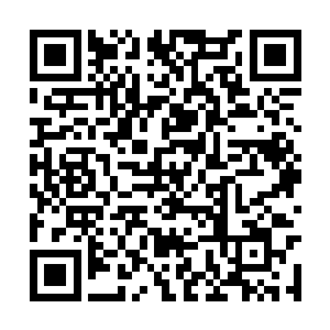 因为啸天雷龙一族的神皇此刻已经朝四面八方飞去二维码生成