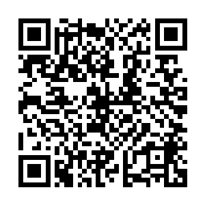 因为在他们家族中的那些上古典籍中都沒有关于天劫的任何记载二维码生成