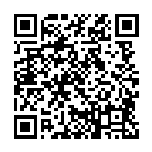 因为在他们的身后还有着很多他们的晚辈和族人二维码生成