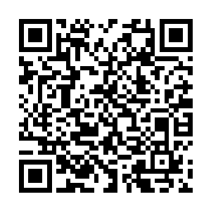 因为在昨天的时候张铁已经和老爸老妈交代过这个打算二维码生成