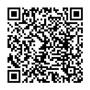 因为在这个果园的中间龙傲天发现了十几株长的只有三米多高的果树二维码生成