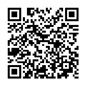 因为在这恶劣的环境身体不好的孩子根本活不下去二维码生成