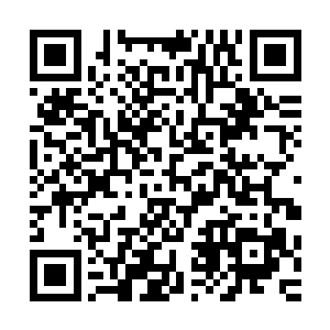 因为大宋的国策是希望在不动摇国家根基的情况下去开拓疆土二维码生成