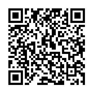 因为她们从未见过有人能那么帅气在空中连踢七八腿二维码生成