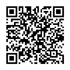 因为她看到了那些花朵的花瓣向着花蕾收拢成一个个花骨朵二维码生成