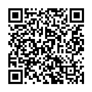 因为它和自己当初炼化的那缕凤祖的神识一模一样二维码生成