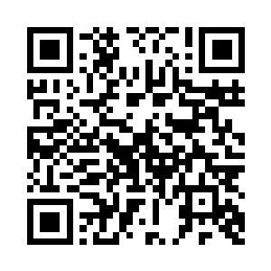 因为它知道有大白在主人不会有事二维码生成