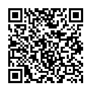 因为它足以将所有互联网数据都纳入到它的数据库内二维码生成