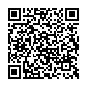 因为对面压根就不知道他们准备放弃掉这条小龙二维码生成