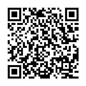 因为就在这一刻他们发现他们所投到九天之上的神识都被灭掉了二维码生成