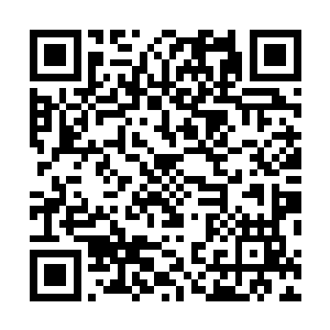 因为师父知道什么样的人才有资格去继承他以往的对和错二维码生成
