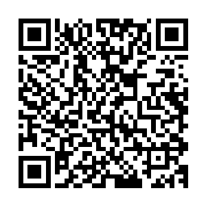 因为帝国会通过在永夜一方的密谍传回的伤亡数字来核实战功二维码生成