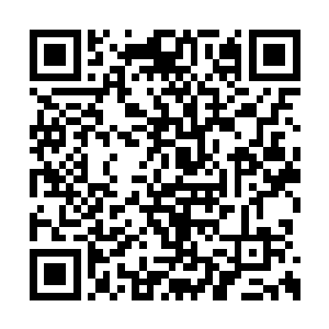 因为开发区的道路改造工程正在如火如荼地进行二维码生成