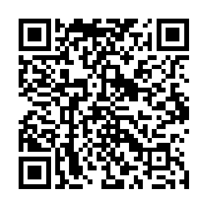 因为当初滨江路沿江预留了足够的宽度作为滨江路改造用地二维码生成