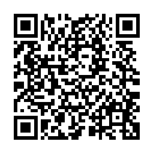 因为当时沈家家主和另外两个世家的家主在羽家全力冲杀的时候二维码生成