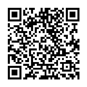 因为成为太上境的他们不愿意有那么一位可以压制住他们的存在二维码生成