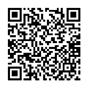 因为我不会在让我生命中最重要的人受到任何伤害二维码生成