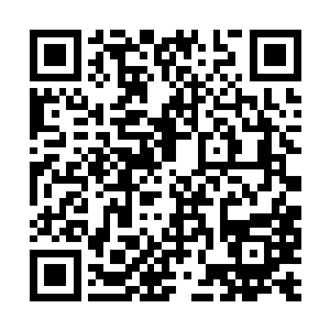 因为我儿子被送到国外我找几个大舅子闹了一场吗二维码生成