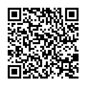 因为我并不知道带来危险的那个人会不会在明天出手二维码生成