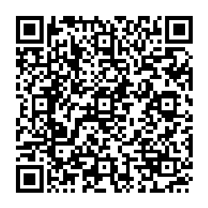 因为接连出现的材料除了张潇晗几乎都无人问津――在有人和张潇晗竞价过一次后二维码生成