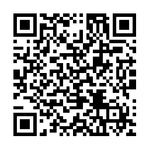 因为曾义布置的这个防护罩也能阻拦住修饰大部分气息的外泄二维码生成