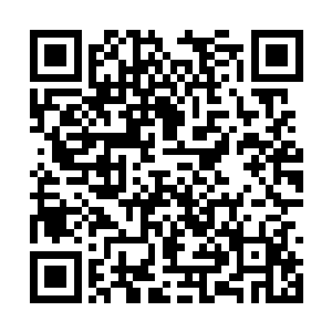 因为有了它陈凌面对多强的灵兽都能做到势不可挡二维码生成