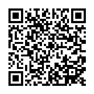 因为有了龙傲天和萧逸的加入对方肯定是凶多吉少了二维码生成