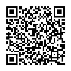 因为有可能牵扯到魔族和曾经覆亡的血魂寺余孽二维码生成