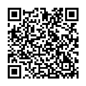 因为杜克晚上经常要编写剧本和处理其他方面的工作二维码生成