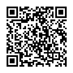 因为林烽现在对于彼岸教那边的情况还不是特别了解二维码生成