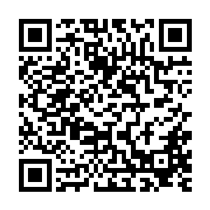 因为此前赛季不败这个说法大家只从莱顿・巴恩斯口中听到过二维码生成