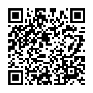 因为此时他的口袋里有一阵轻微的震动声嗡嗡作响二维码生成